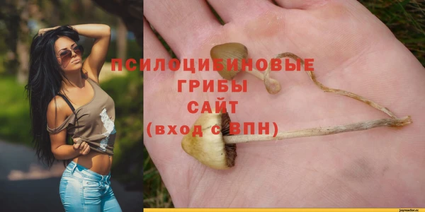 шишки Красноперекопск