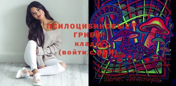 СК Краснослободск