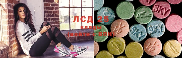 СК Краснослободск