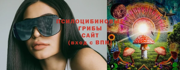 шишки Красноперекопск