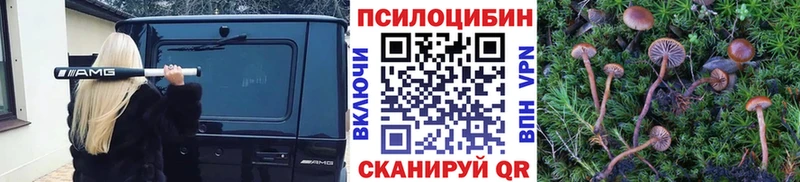 Галлюциногенные грибы Psilocybe  наркошоп  Ачинск 